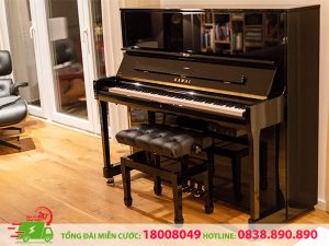 Vận Chuyển Đàn Piano Huyện Bình Chánh