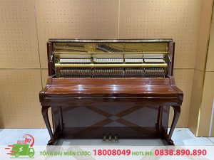 Vận Chuyển Đàn Piano Quận 10