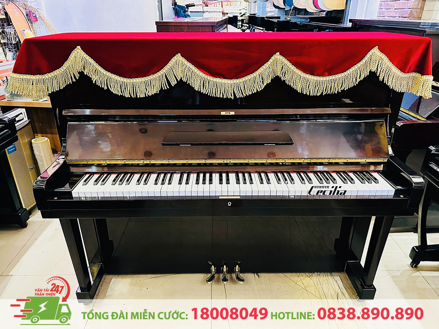 Vận Chuyển Đàn Piano Quận 2