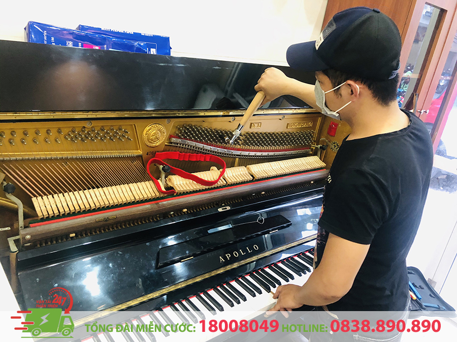 Vận Chuyển Đàn Piano Quận 7