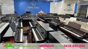 Vận Chuyển Đàn Piano Quận Tân Bình